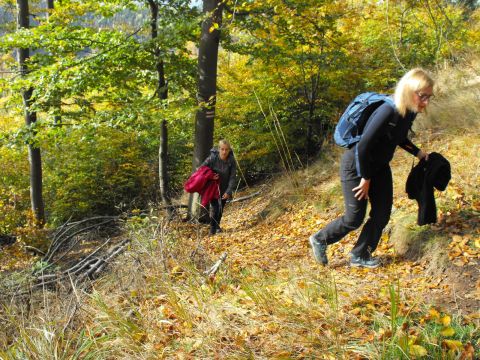 Wycieczka w Góry Kamienne s16 - PTTK Strzelin
