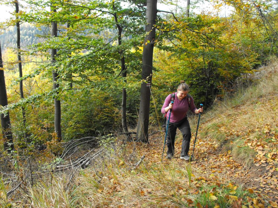 Wycieczka w Góry Kamienne s003 - PTTK Strzelin