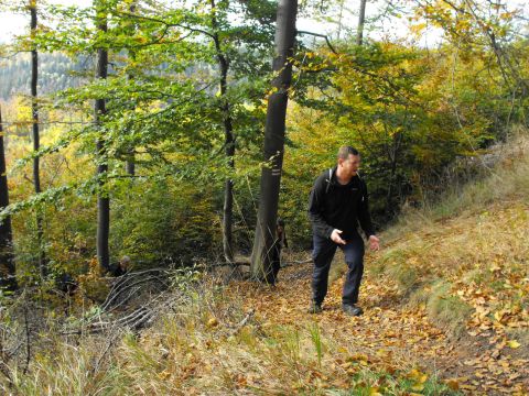 Wycieczka w Góry Kamienne s21 - PTTK Strzelin