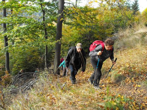 Wycieczka w Góry Kamienne s23 - PTTK Strzelin