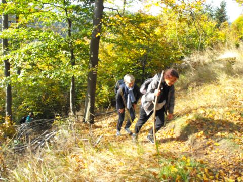 Wycieczka w Góry Kamienne s29 - PTTK Strzelin