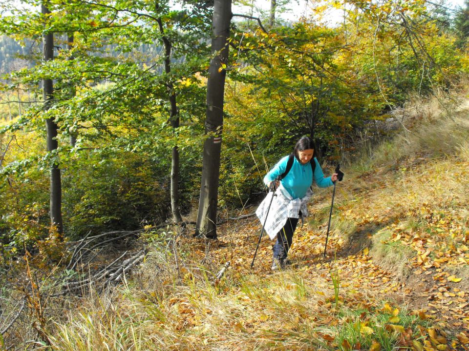 Wycieczka w Góry Kamienne s003 - PTTK Strzelin