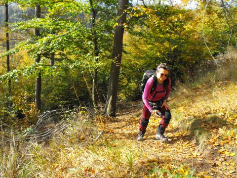 Wycieczka w Góry Kamienne s31 - PTTK Strzelin