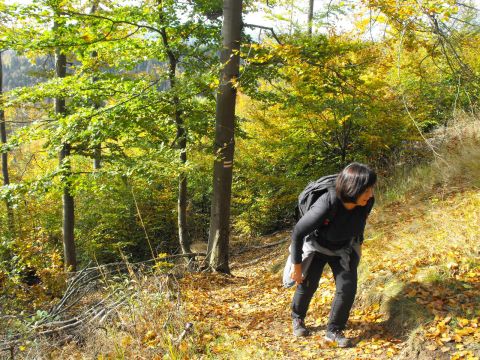 Wycieczka w Góry Kamienne s32 - PTTK Strzelin