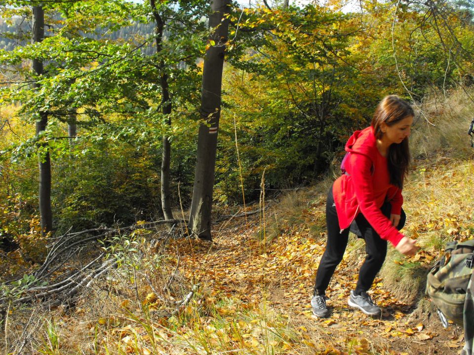 Wycieczka w Góry Kamienne s003 - PTTK Strzelin