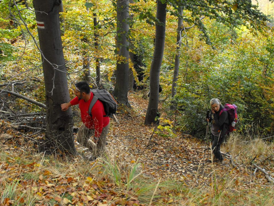 Wycieczka w Góry Kamienne s003 - PTTK Strzelin
