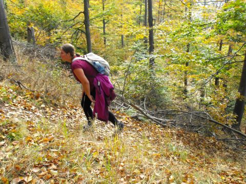 Wycieczka w Góry Kamienne s37 - PTTK Strzelin