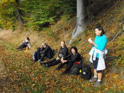 Wycieczka w Góry Kamienne s39 - PTTK Strzelin