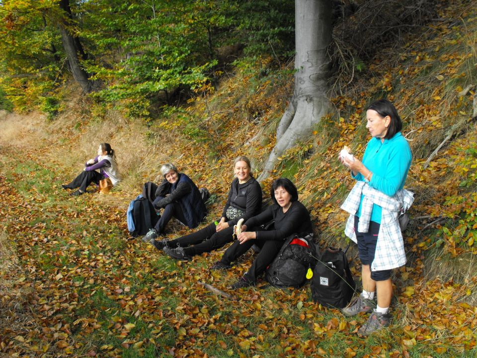 Wycieczka w Góry Kamienne s003 - PTTK Strzelin