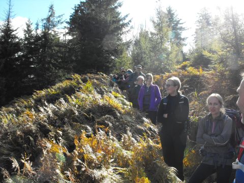 Wycieczka w Góry Kamienne s54 - PTTK Strzelin