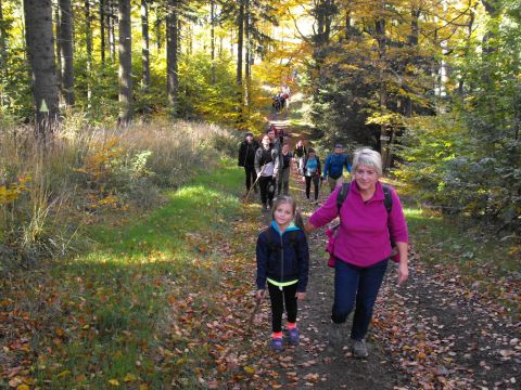 Wycieczka w Góry Kamienne s99 - PTTK Strzelin