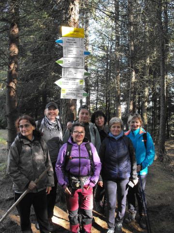 Wycieczka w Góry Kamienne s136 - PTTK Strzelin