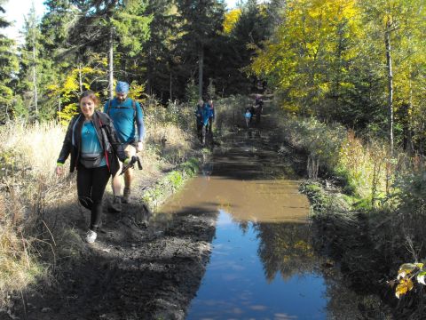 Wycieczka w Góry Kamienne s138 - PTTK Strzelin