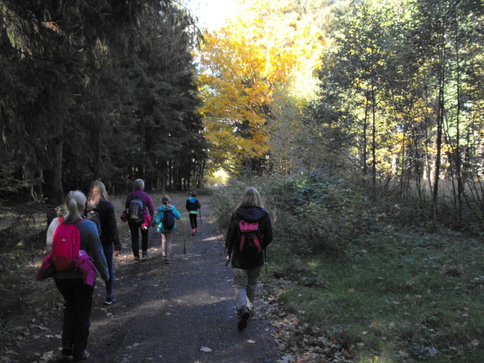 Wycieczka w Góry Kamienne s003 - PTTK Strzelin