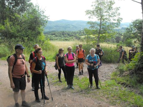 Wycieczka w Góry Kamienne s9 - PTTK Strzelin