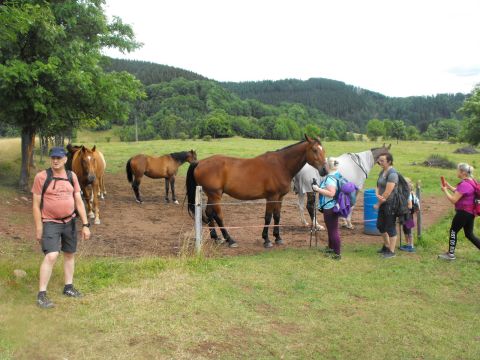 Wycieczka w Góry Kamienne s15 - PTTK Strzelin