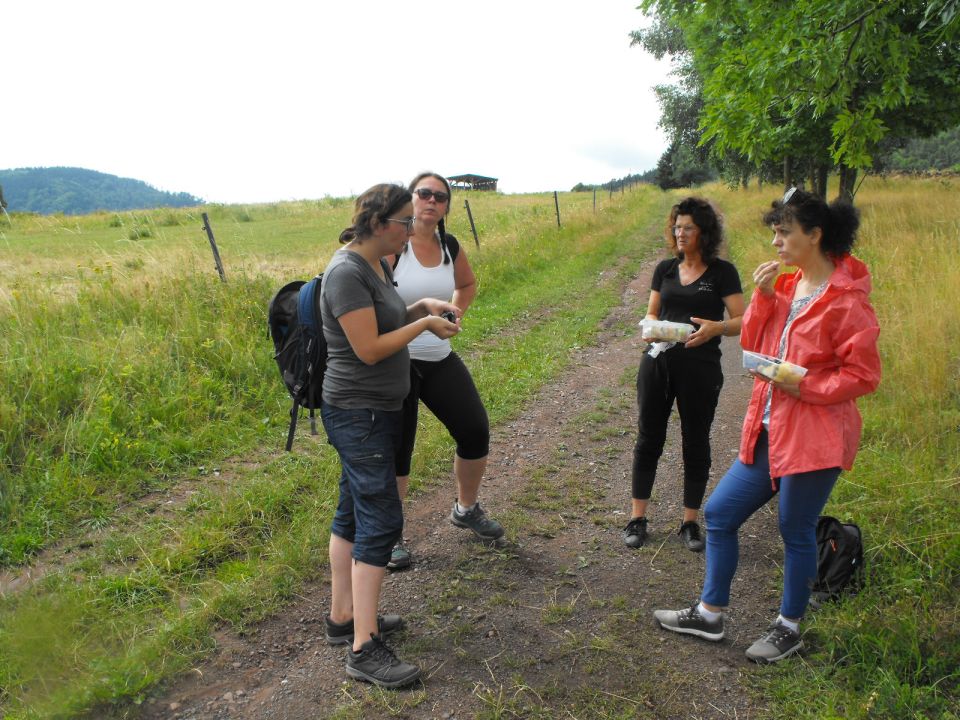 Wycieczka w Góry Kamienne s003 - PTTK Strzelin