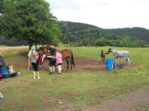 Wycieczka w Góry Kamienne s19 - PTTK Strzelin