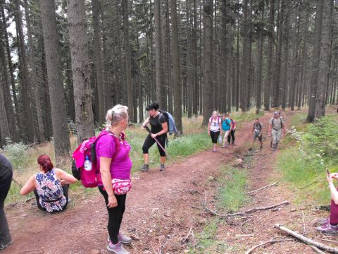 Wycieczka w Góry Kamienne s26 - PTTK Strzelin