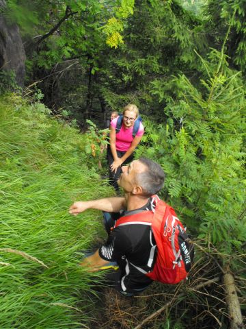 Wycieczka w Góry Kamienne s34 - PTTK Strzelin