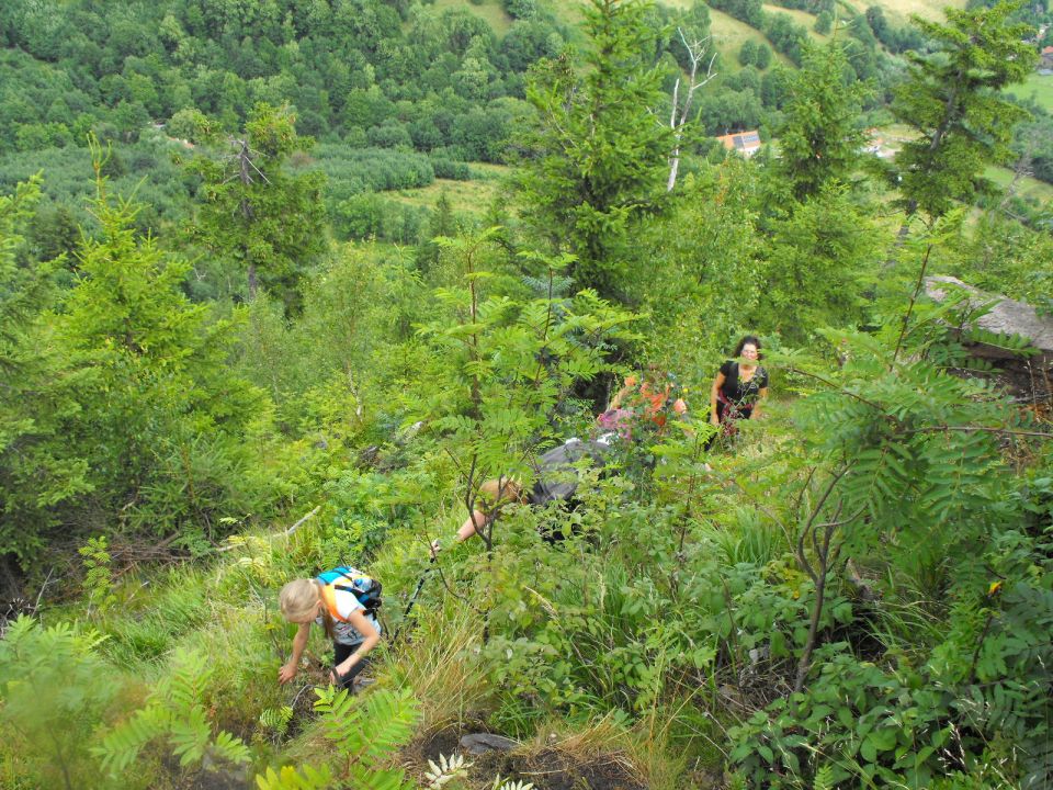 Wycieczka w Góry Kamienne s003 - PTTK Strzelin