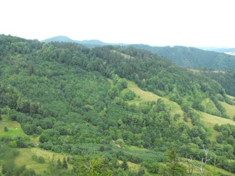 Wycieczka w Góry Kamienne s80 - PTTK Strzelin