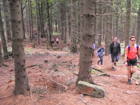 Wycieczka w Góry Kamienne s96 - PTTK Strzelin