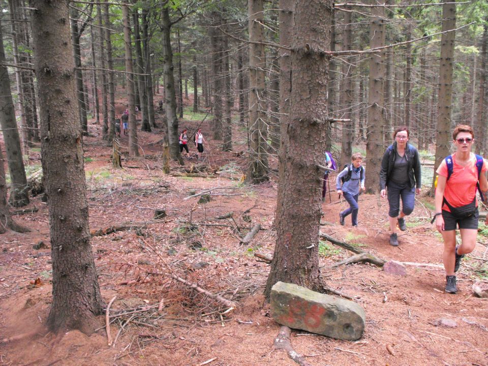 Wycieczka w Góry Kamienne s003 - PTTK Strzelin