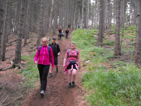 Wycieczka w Góry Kamienne s98 - PTTK Strzelin