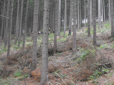 Wycieczka w Góry Kamienne s99 - PTTK Strzelin