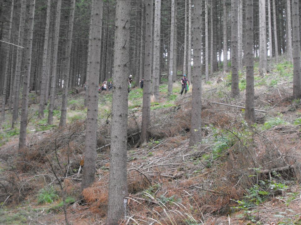 Wycieczka w Góry Kamienne s003 - PTTK Strzelin