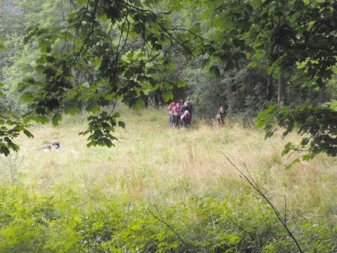 Wycieczka w Góry Kamienne s107 - PTTK Strzelin