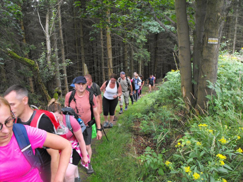 Wycieczka w Góry Kamienne s003 - PTTK Strzelin