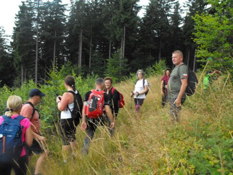 Wycieczka w Góry Kamienne s110 - PTTK Strzelin