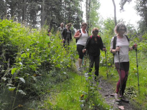 Wycieczka w Góry Kamienne s111 - PTTK Strzelin