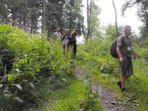 Wycieczka w Góry Kamienne s113 - PTTK Strzelin