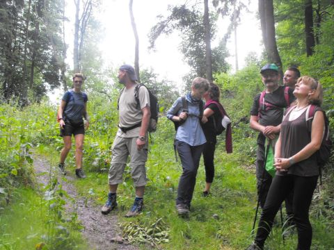 Wycieczka w Góry Kamienne s114 - PTTK Strzelin