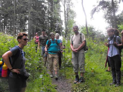Wycieczka w Góry Kamienne s115 - PTTK Strzelin