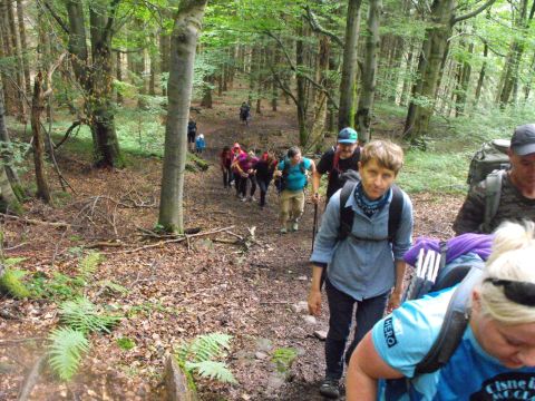 Wycieczka w Góry Kamienne s116 - PTTK Strzelin