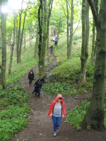 Wycieczka w Góry Kamienne s133 - PTTK Strzelin