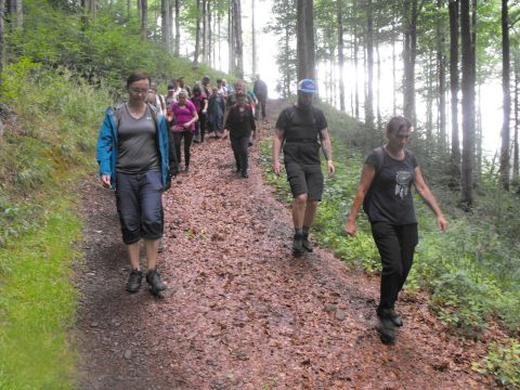 Wycieczka w Góry Kamienne s148 - PTTK Strzelin