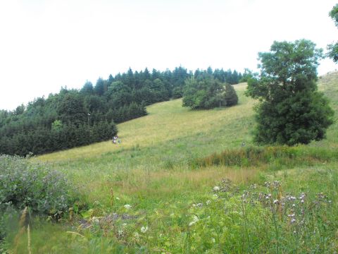 Wycieczka w Góry Kamienne s151 - PTTK Strzelin