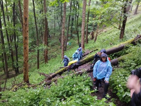 Wycieczka w Góry Kamienne s13 - PTTK Strzelin