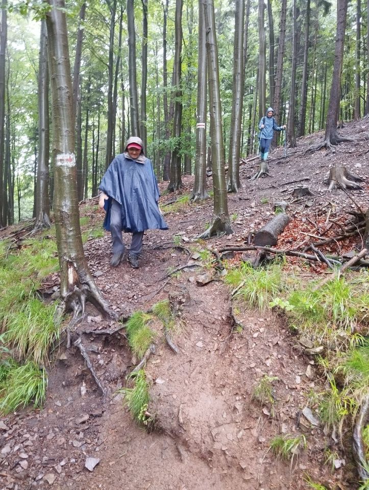 Wycieczka w Góry Kamienne s003 - PTTK Strzelin