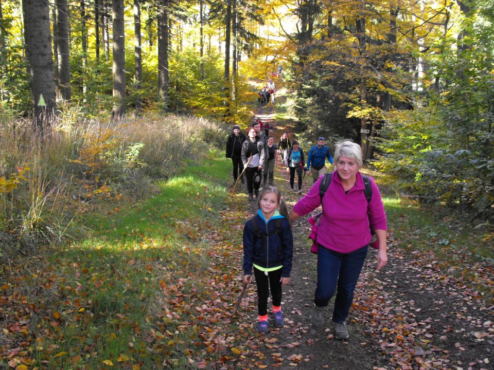Dzikowiec Wielki w Górach Kamiennych s003 - PTTK Strzelin