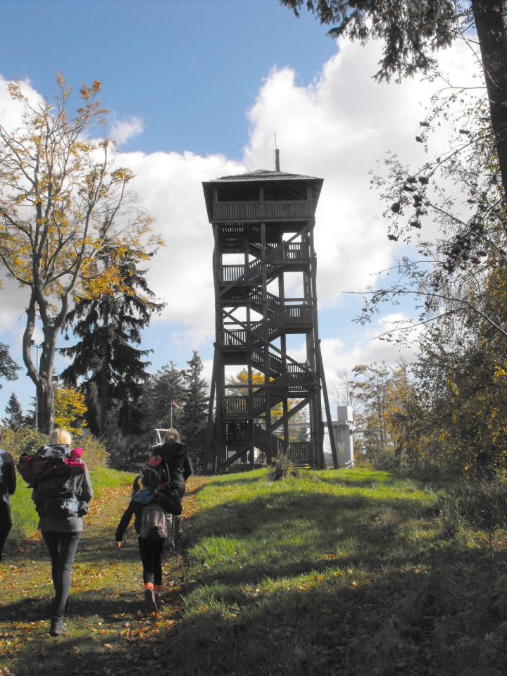 Dzikowiec Wielki w Górach Kamiennych s003 - PTTK Strzelin