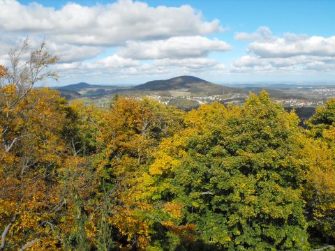 Dzikowiec Wielki w Górach Kamiennych s5 - PTTK Strzelin