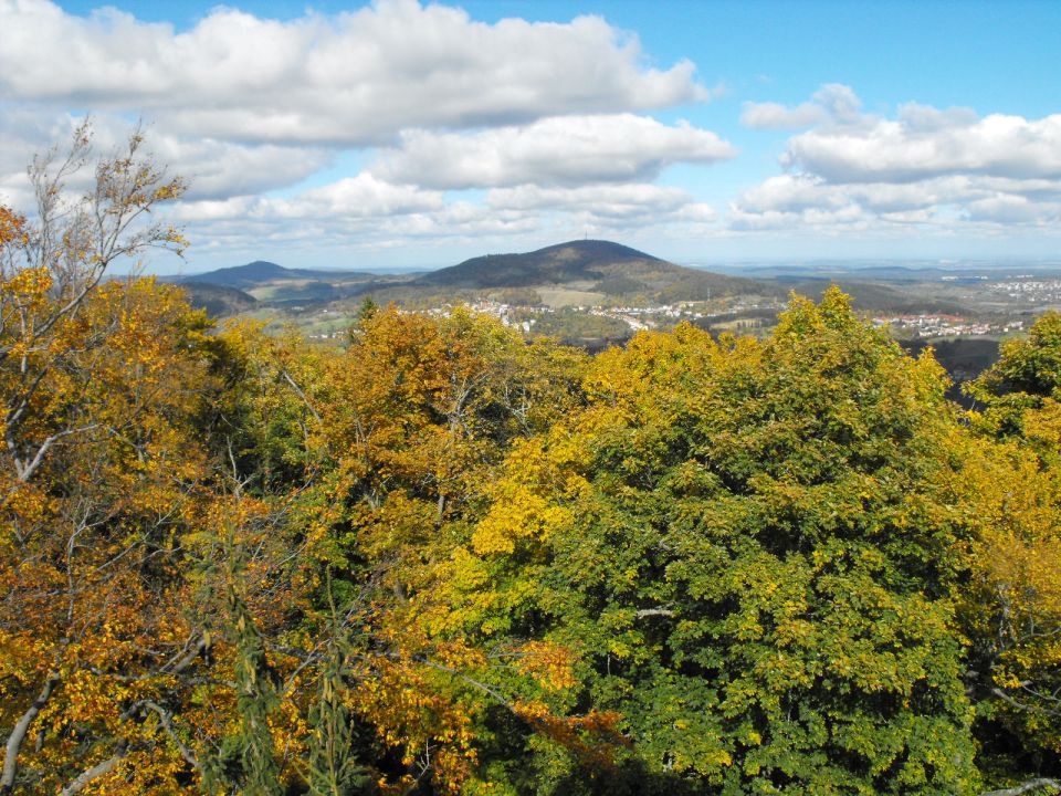 Dzikowiec Wielki w Górach Kamiennych s003 - PTTK Strzelin