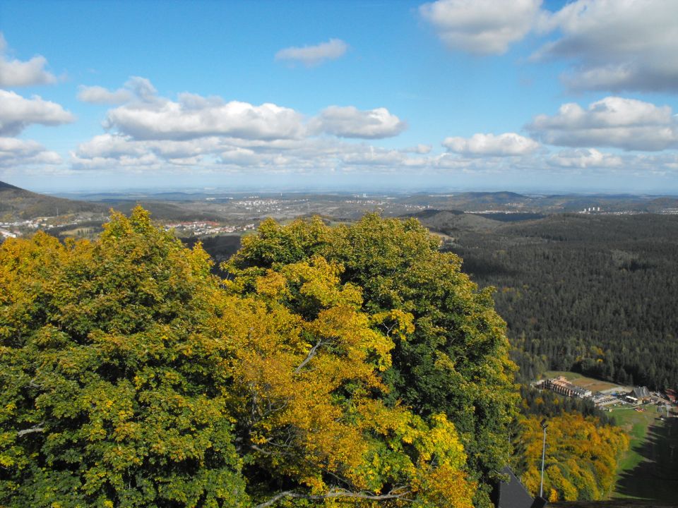 Dzikowiec Wielki w Górach Kamiennych s003 - PTTK Strzelin