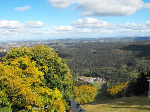 Dzikowiec Wielki w Górach Kamiennych s7 - PTTK Strzelin